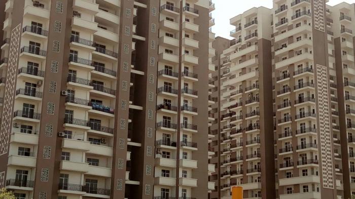 JM Aroma - Project Photo