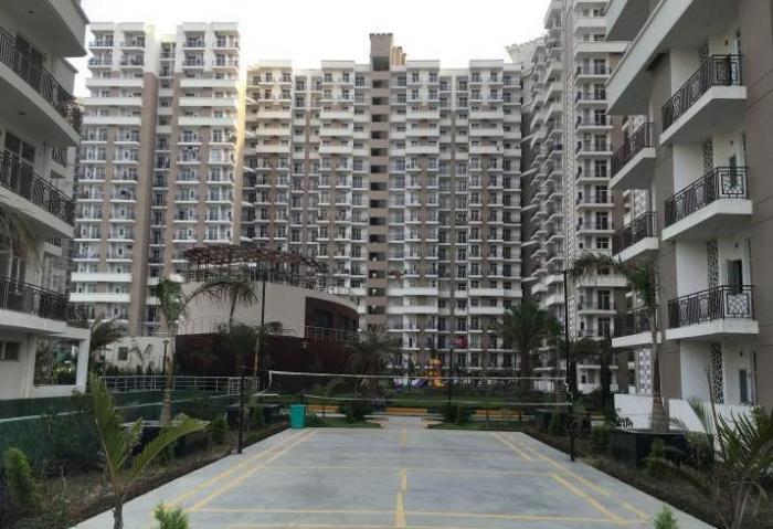 JM Aroma - Project Photo