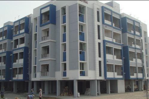 DABC Orchid - Project Photo