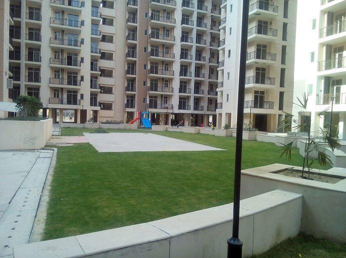 Skytech Matrott - Project Photo