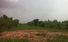 SS Buildcon Shiv Home I