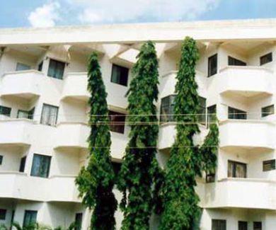 Alpine Tulip - Banner Image