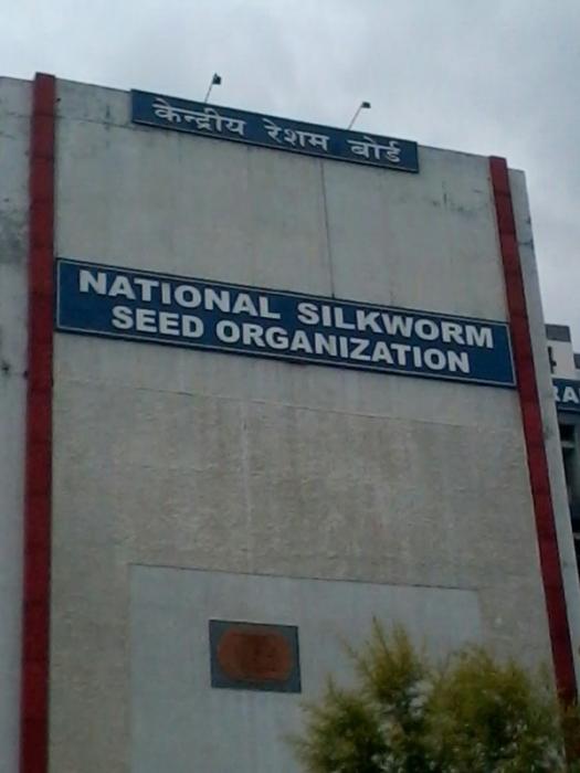 Fortune Silicon Corner - Project Photo