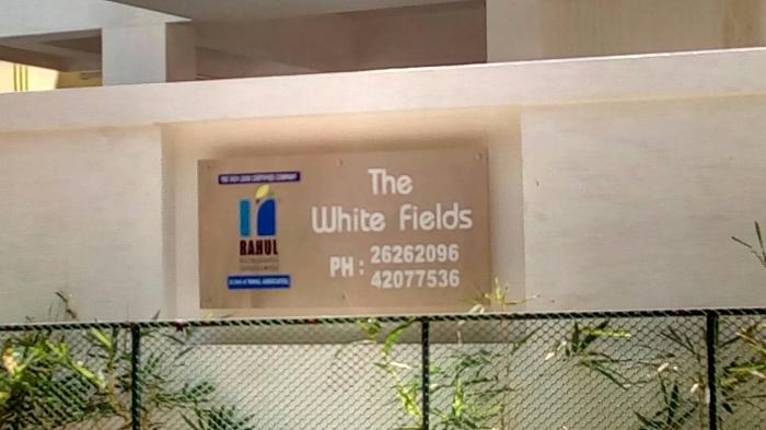 The White Fields - Project Photo