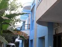 Tellus Spring Field - Banner Image