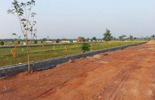 Sri Vijayasai Sri Hanuma Gardens