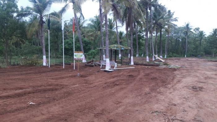 Yesh Farms - Project Photo