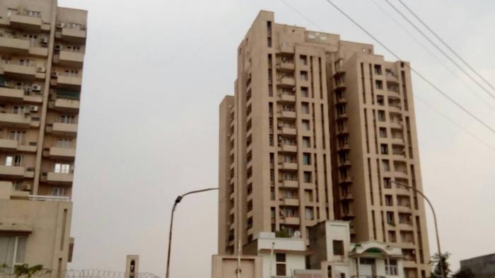 The Legend - Project Photo