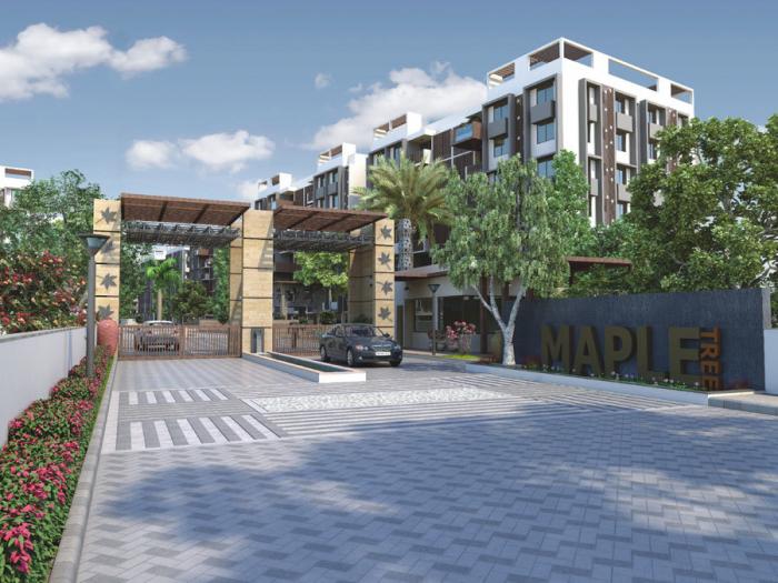 RIPL Maple Tree - Banner Image