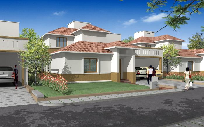 Oceanus Palms - Banner Image