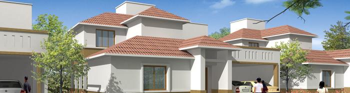 Oceanus Palms - Project Photo