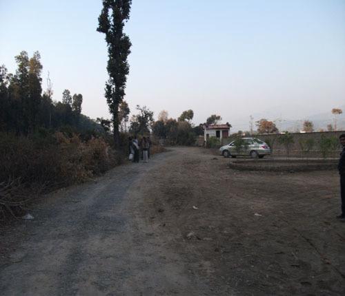 Ganpatis Forest Inn - Project Photo