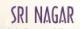 NVS Sri Nagar