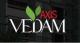 Axis Vedam