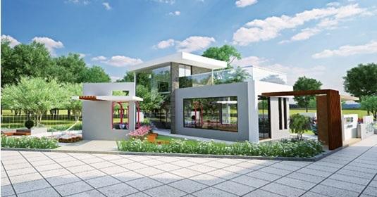 Tulip Elegance - Project Photo