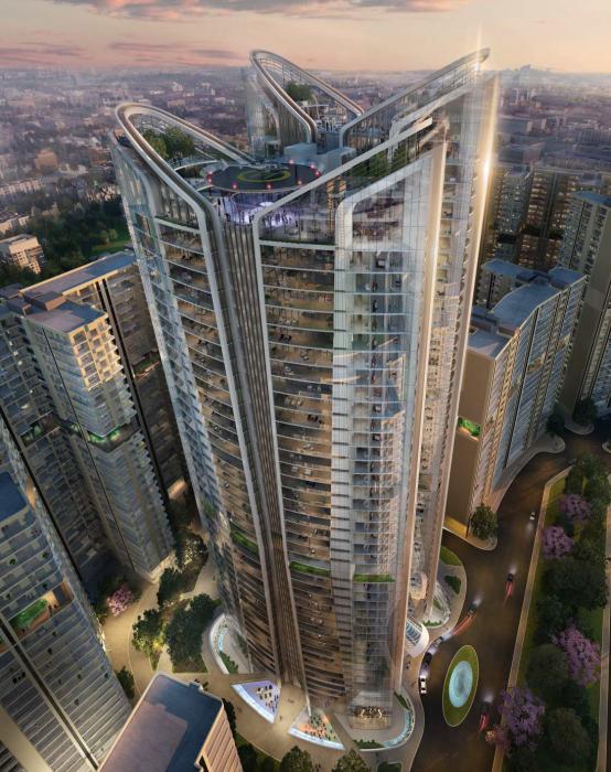 Unity The Amaryllis Phase I - Project Photo