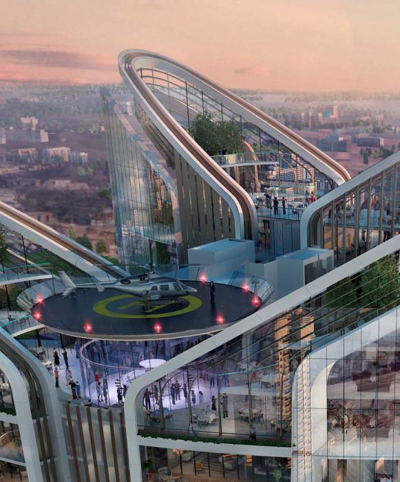 Unity The Amaryllis Phase I - Project Photo