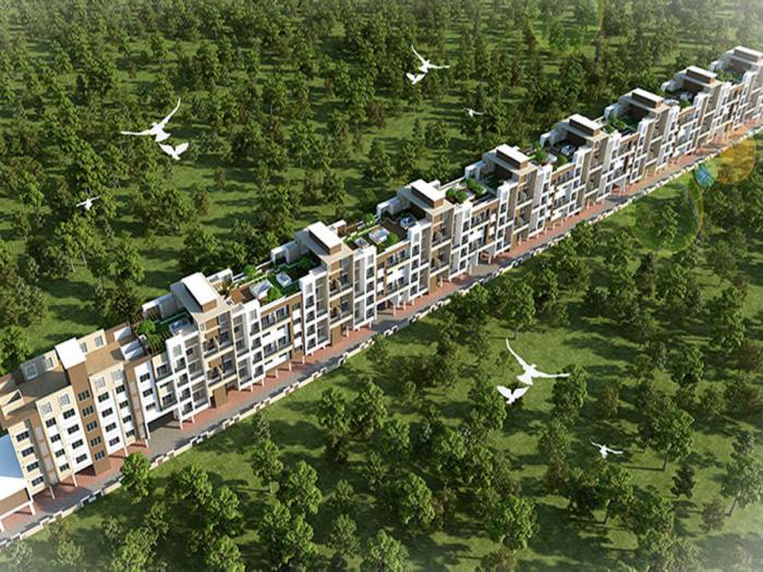 Goodwill Pallette - Master Plan