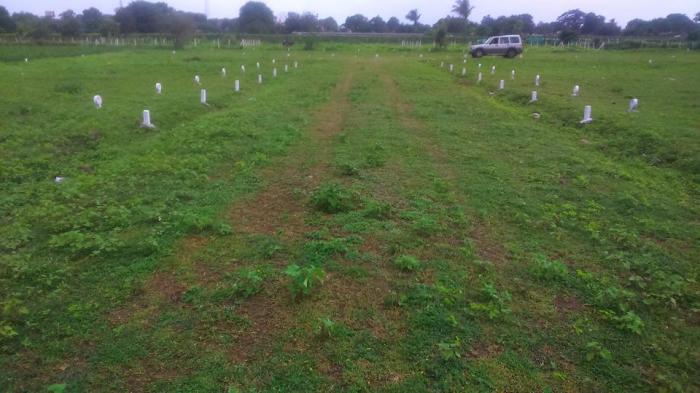 Growealth Pathardi Plot - Project Photo