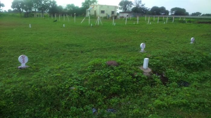 Growealth Pathardi Plot - Project Photo