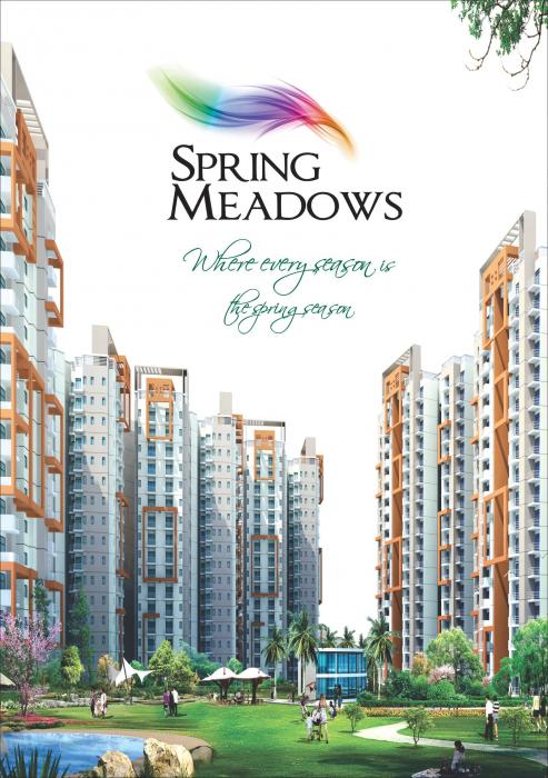 Pigeon Spring Meadows - Project Photo