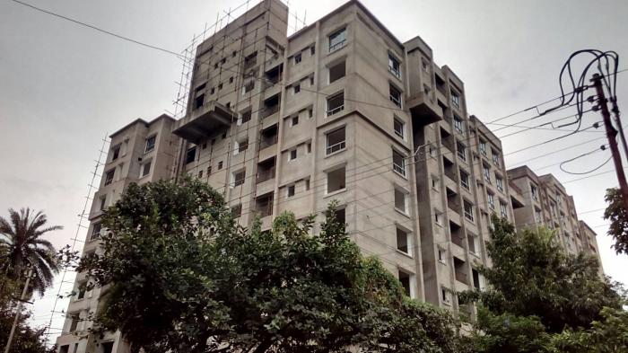 Lemon Botany - Under Construction