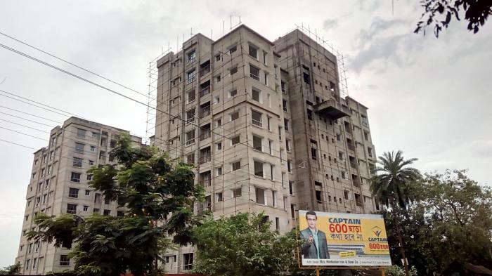 Lemon Botany - Under Construction