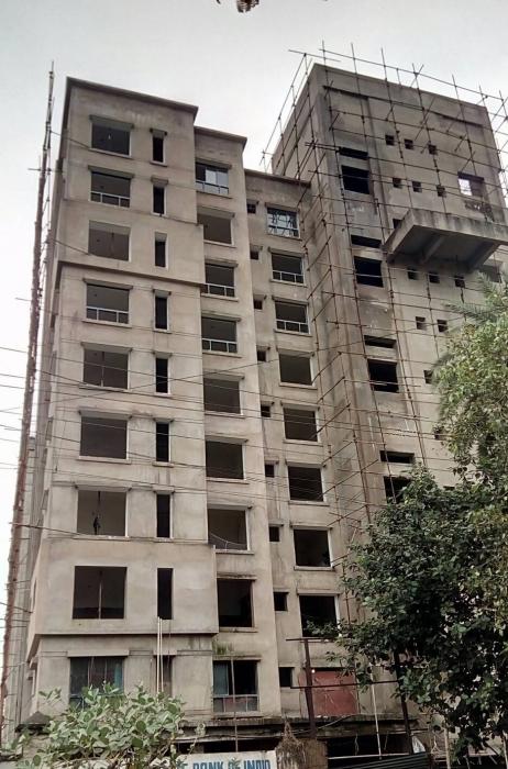 Lemon Botany - Under Construction