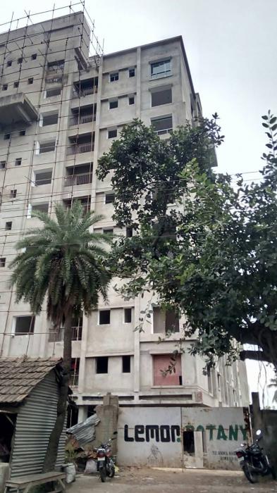 Lemon Botany - Under Construction