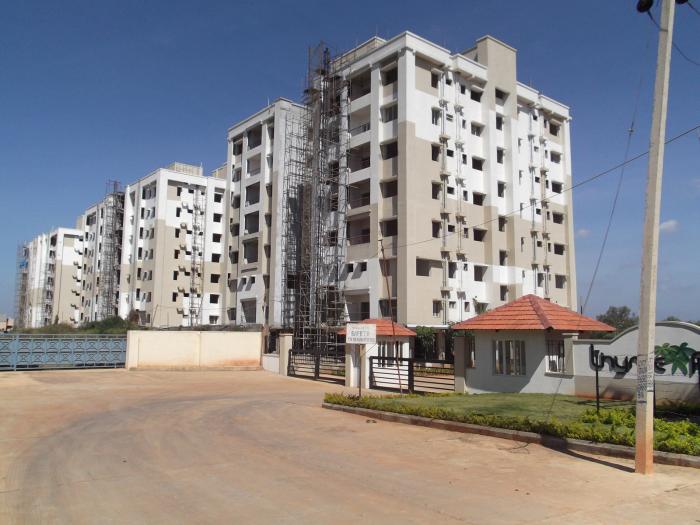 VS Thyme Park - Under Construction