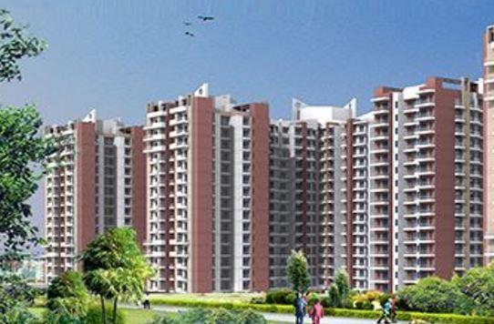 Aims AMG Complex - Banner Image