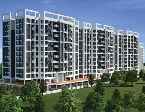 Pristine Prolife Phase III - Banner Image