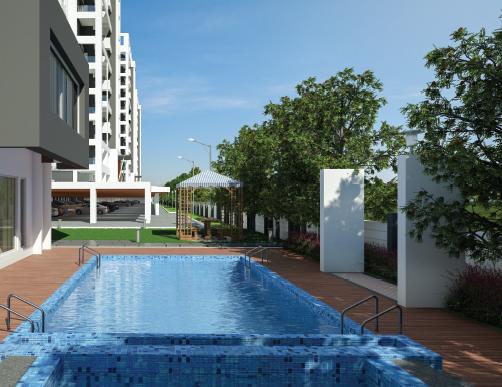 Pristine Prolife Phase III - Project Photo