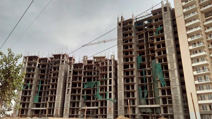 Tulip Violet - Under Construction