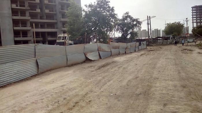 Tulip Violet - Under Construction