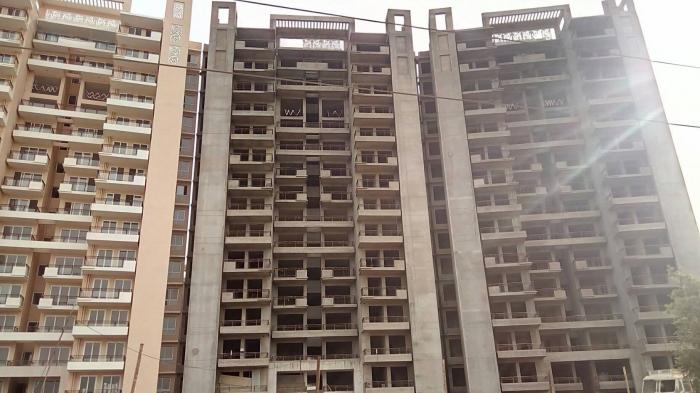 Tulip Violet - Under Construction