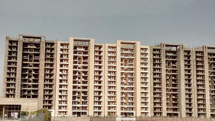 Tulip Violet - Under Construction