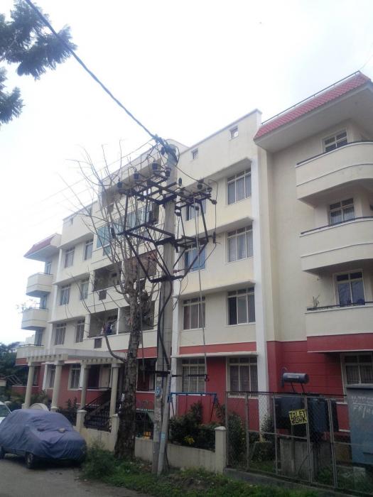 Pearl Garden - Project Photo