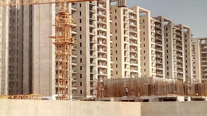 Tulip Lemon - Under Construction