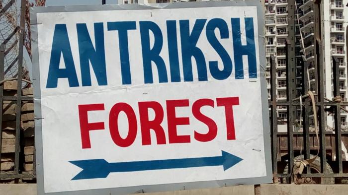 Antriksh Forest - Under Construction