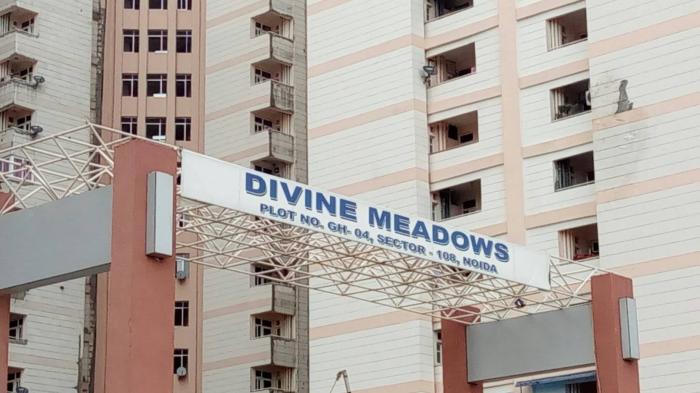 Elixir Divine Meadows - Project Photo