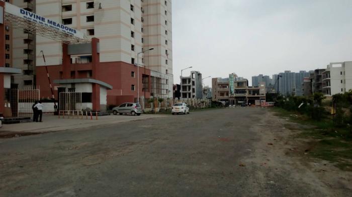 Elixir Divine Meadows - Project Photo