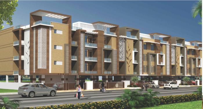 Ashish Foresta - Project Photo