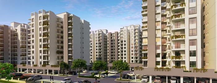 Sushma Joynest - Project Photo