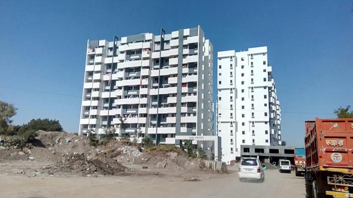 Sara Orchid - Project Photo