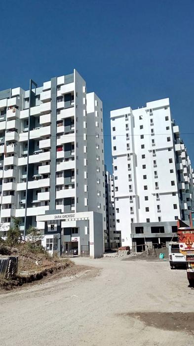 Sara Orchid - Project Photo