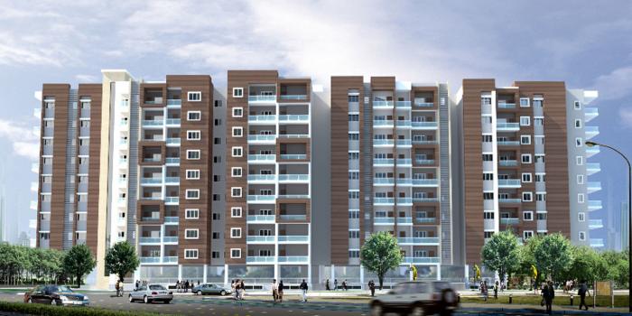 NK Oak Forest - Project Photo