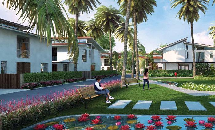 Zuari Rain Forest - Project Photo