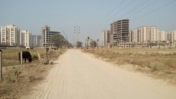 Tulip Lemon - Under Construction