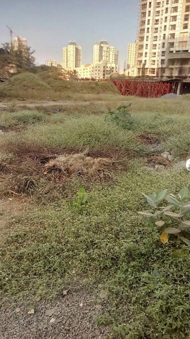 Velocity Hill Spring Phase II - Under Construction